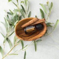 huile essentielle cannelle de Chine Cassia – énergie et purification
