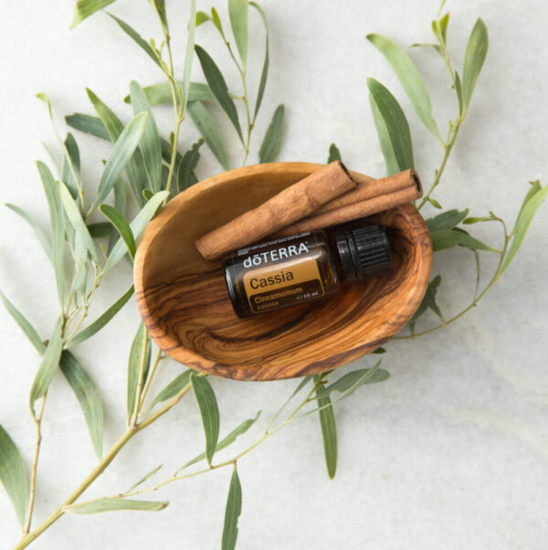huile essentielle cannelle de Chine Cassia – énergie et purification