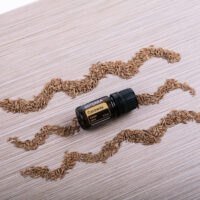 huile essentielle carvi – digestion et équilibre émotionnel