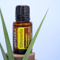 Citronnelle de Java – Repousse les insectes et apaise les piqures