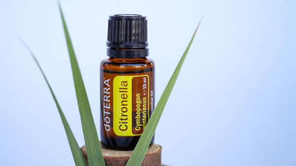 Citronnelle de Java – Repousse les insectes et apaise les piqures