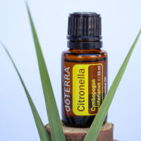 huile essentielle citronnelle de Java – anti moustique & apaisement