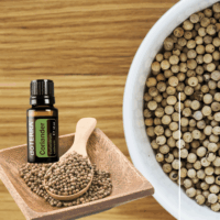 huile essentielle coriandre graines – digestion & clarté mentale