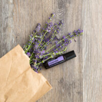 Lavender Touch 10 ml