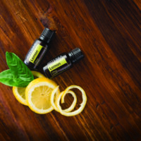 huile essentielle citron – stimulation et purification naturelle