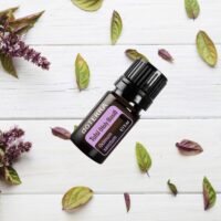 huile essentielle basilic sacré Tulsi – apaisement et immunité
