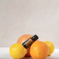 synergie Citrus Bliss – énergie & créativité naturelles