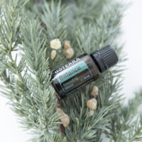 Synergie Balance®- favorise l’harmonie émotionnelle, l’ancrage et la sérénité intérieure.