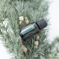 synergie Balance – ancrage émotionnel, harmonie & sérénité