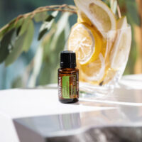 huile essentielle eucalyptus citronné – anti-douleur, insectes, respiration
