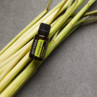 huile essentielle lemongrass – tonification et purification énergétique