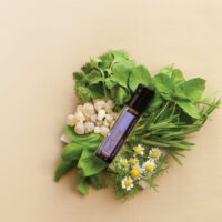 Synergie PastTense – Soulage tensions et favorise clarté mentale