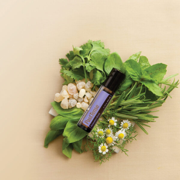 Synergie PastTense – Soulage tensions et favorise clarté mentale
