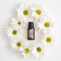 Synergie Purify – purification naturelle de l’air et des énergies