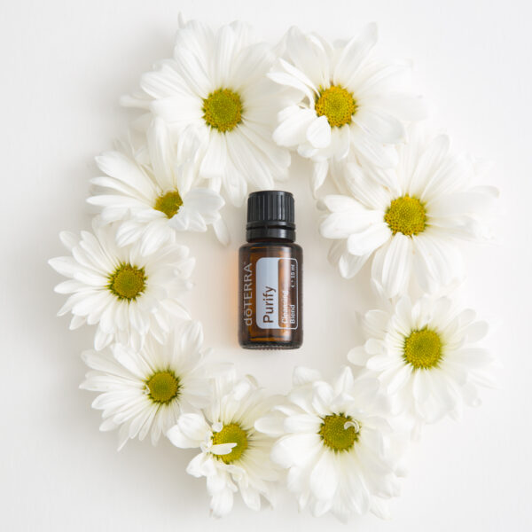 Synergie Purify – purification naturelle de l’air et des énergies