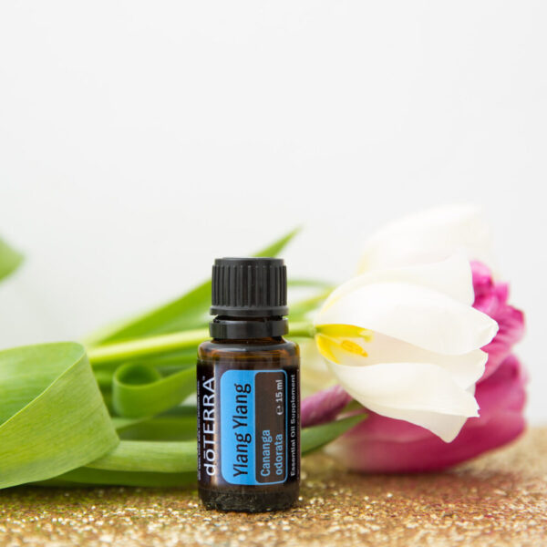 huile essentielle ylang ylang – joie, détente et sensualité