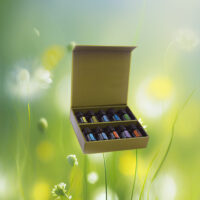 kit huiles essentielles famille – 10 flacons bien-être