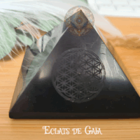 Pyramide en Shungite et fleur de vie