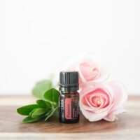 synergie Passion – créativité, passion et joie de vivre