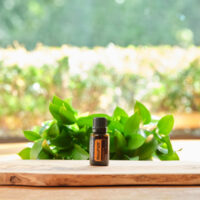 synergie MetaPWR huile essentielle bien-être énergie équilibre