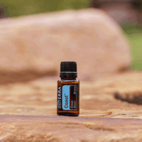synergie Coast – fraîcheur marine et respiration apaisée