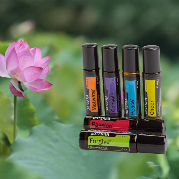 kit Essential Aromatics 10ml