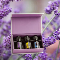 kit huiles essentielles citron lavande menthe poivrée – aromathérapie débutant
