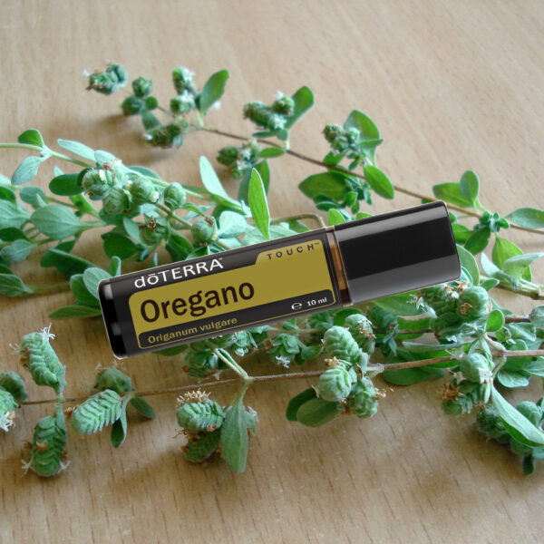origan touch doterra