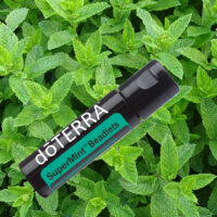 billes de menthe verte – haleine fraîche digestion clarté mentale