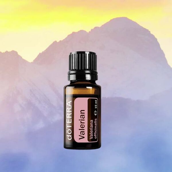 huile essentielle de valériane – sommeil, relaxation et méditation