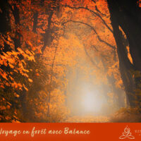 Meditation - voyage en forêt avec la synergie Balance