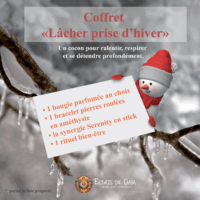 coffret lacher prise hiver