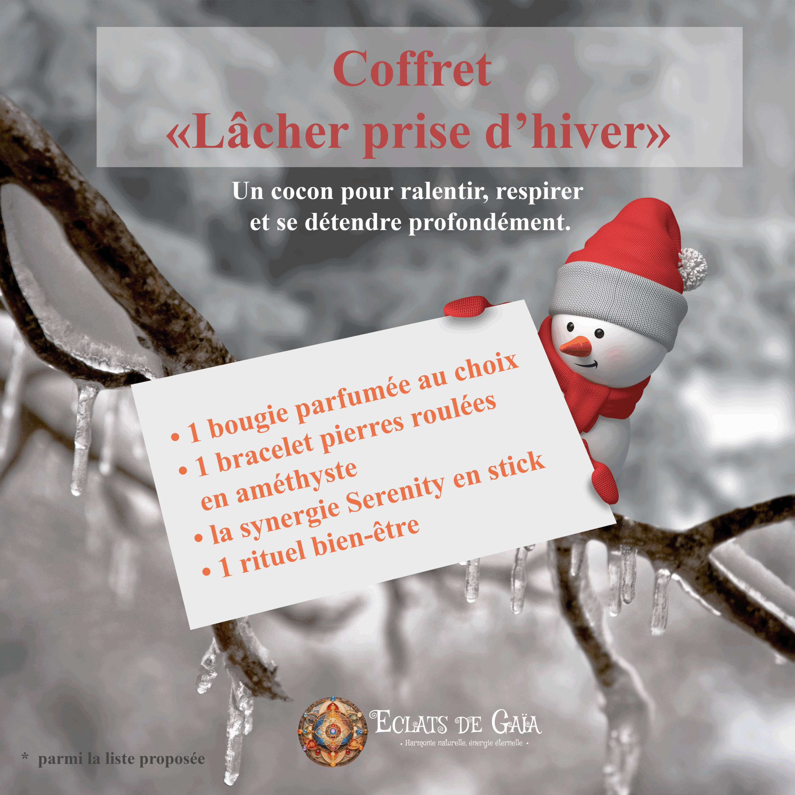 coffret lacher prise hiver