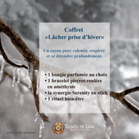 coffret lacher prise hiver